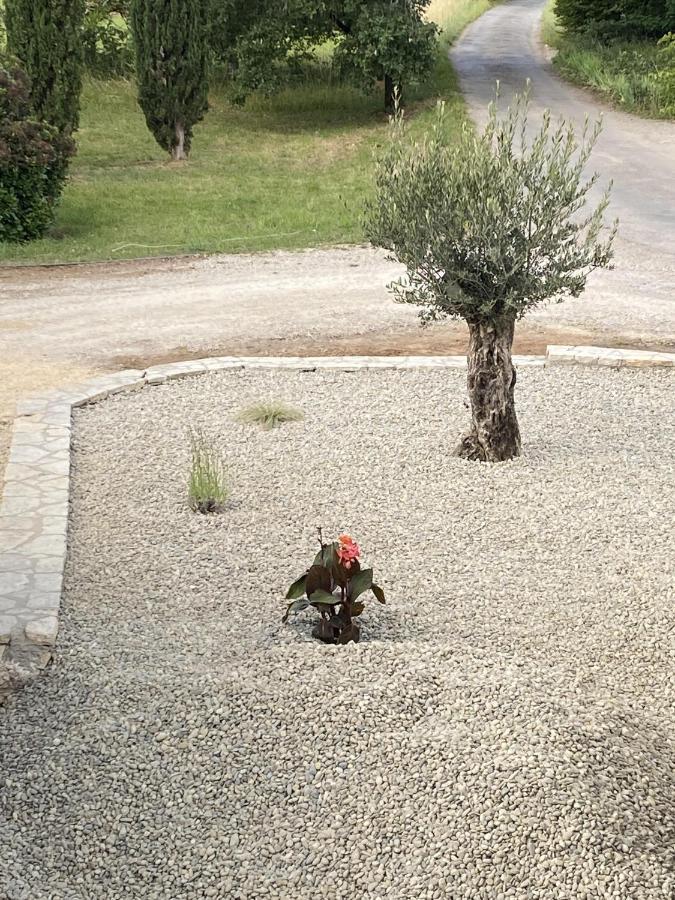 Le Jardin Du Moustoulac Chambres D'Hotes Кахор Екстериор снимка